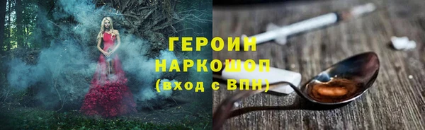 гашик Алексин