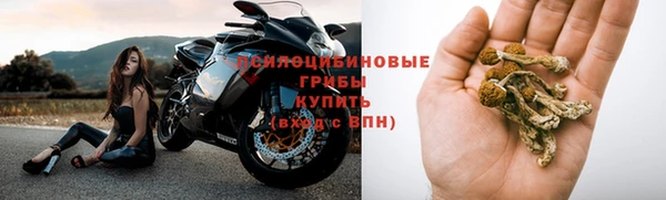 спиды Алексеевка
