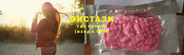 гашик Алексин