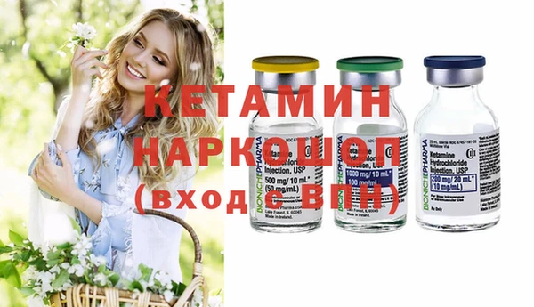 гашик Алексин