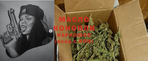 гашик Алексин