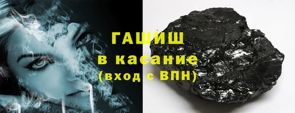 гашик Алексин