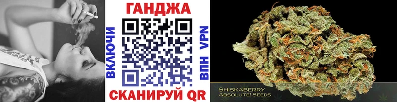 Купить где  Сунжа  Конопля индика 